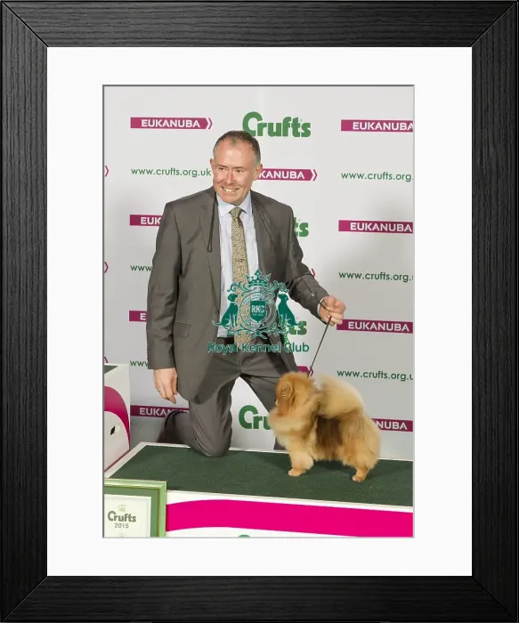Framed Print : Crufts 2015