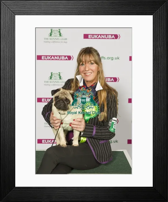 Framed Print : Crufts 2015 Framed Print : Crufts 2015