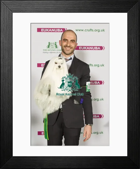 Framed Print : Crufts 2015 Framed Print : Crufts 2015