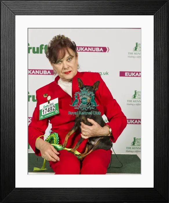 Framed Print : Crufts 2015 Framed Print : Crufts 2015