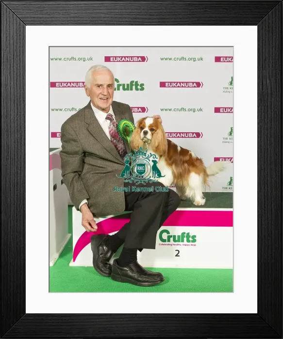 Framed Print : Crufts 2015