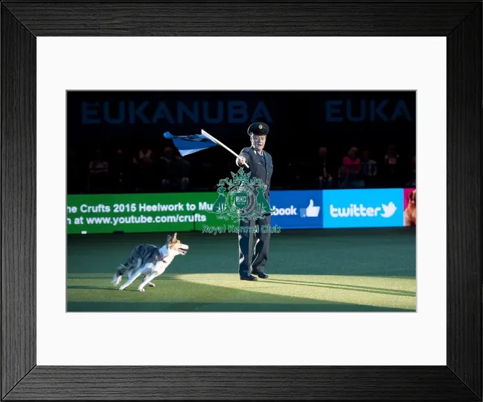Framed Print : Crufts 2015