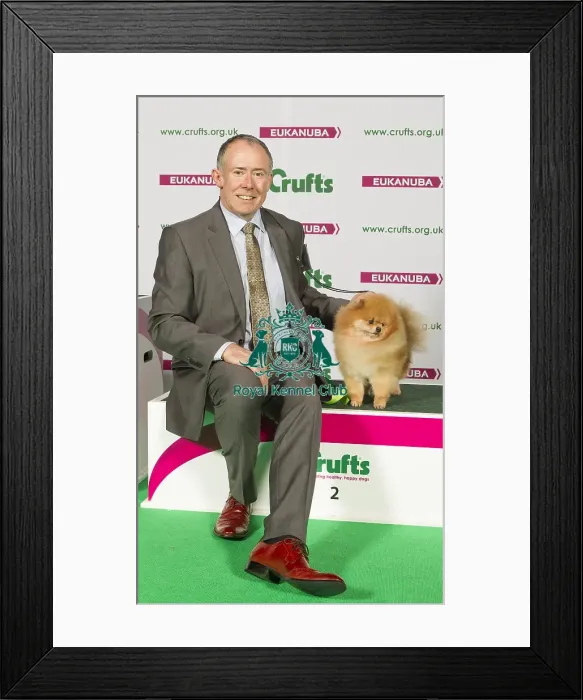 Framed Print : Crufts 2015 Framed Print : Crufts 2015