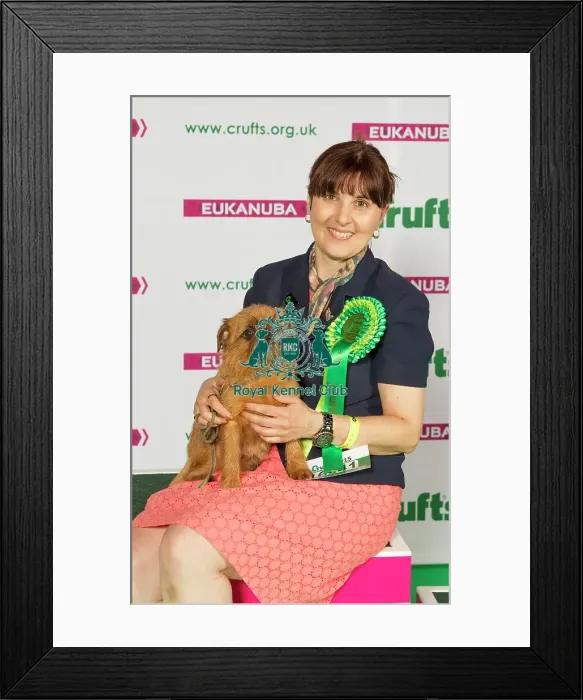 Framed Print : Crufts 2015