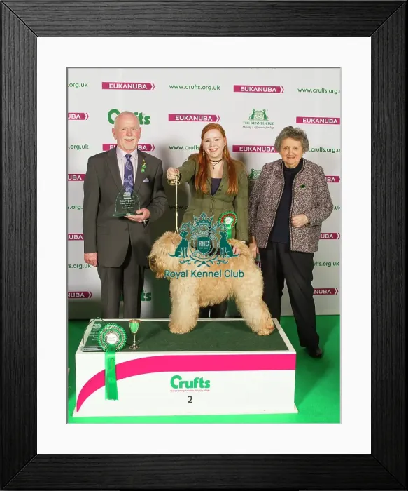 Framed Print : Crufts 2015 Framed Print : Crufts 2015