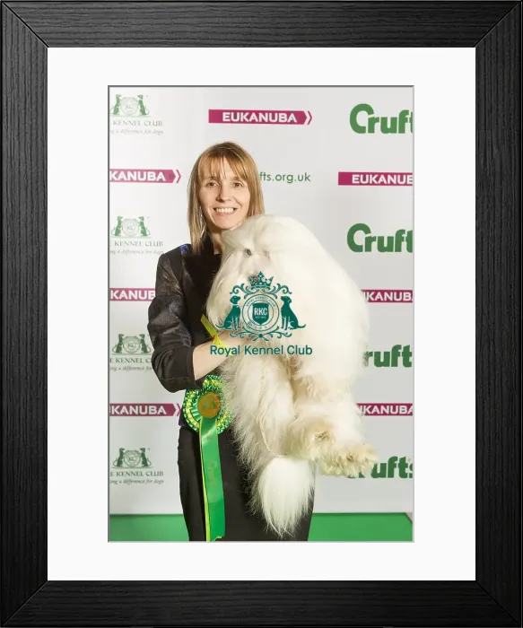 Framed Print : Crufts 2015