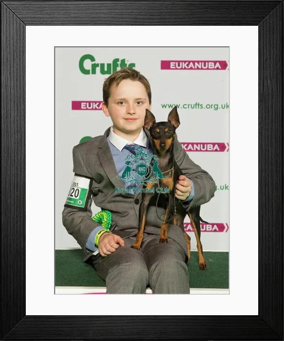 Framed Print : Crufts 2015 Framed Print : Crufts 2015
