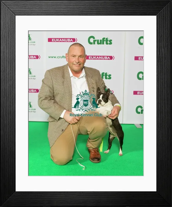 Framed Print : Crufts 2015