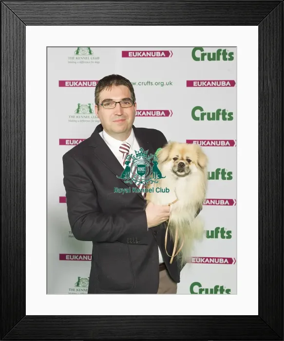 Framed Print : Crufts 2015 Framed Print : Crufts 2015