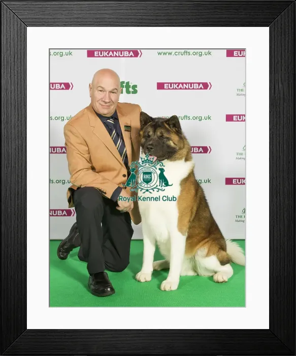 Framed Print : Crufts 2015 Framed Print : Crufts 2015