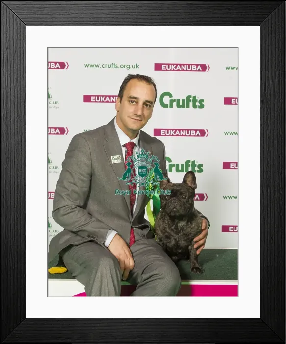 Framed Print : Crufts 2015 Framed Print : Crufts 2015