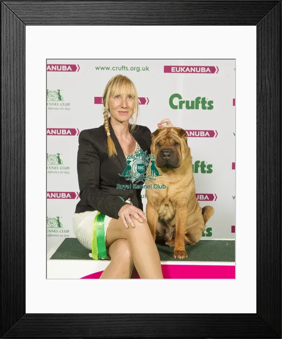 Framed Print : Crufts 2015 Framed Print : Crufts 2015