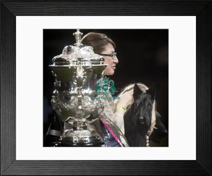 Framed Print : Crufts 2015