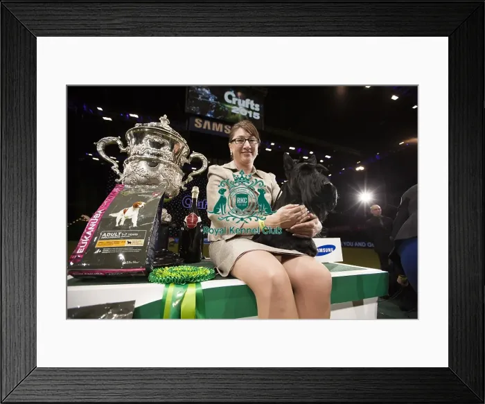 Framed Print : Crufts 2015 Framed Print : Crufts 2015