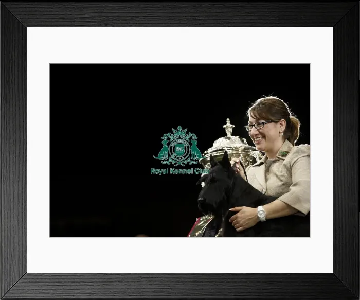 Framed Print : Crufts 2015