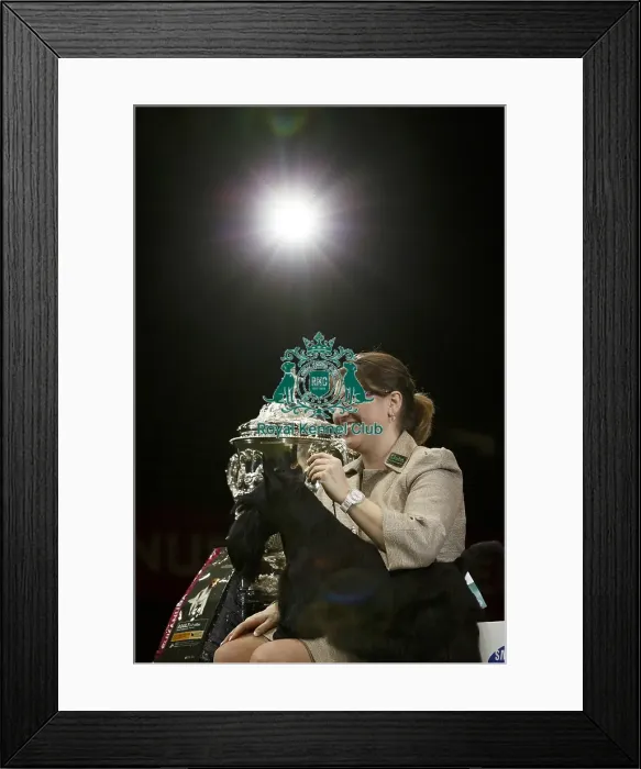 Framed Print : Crufts 2015 Framed Print : Crufts 2015