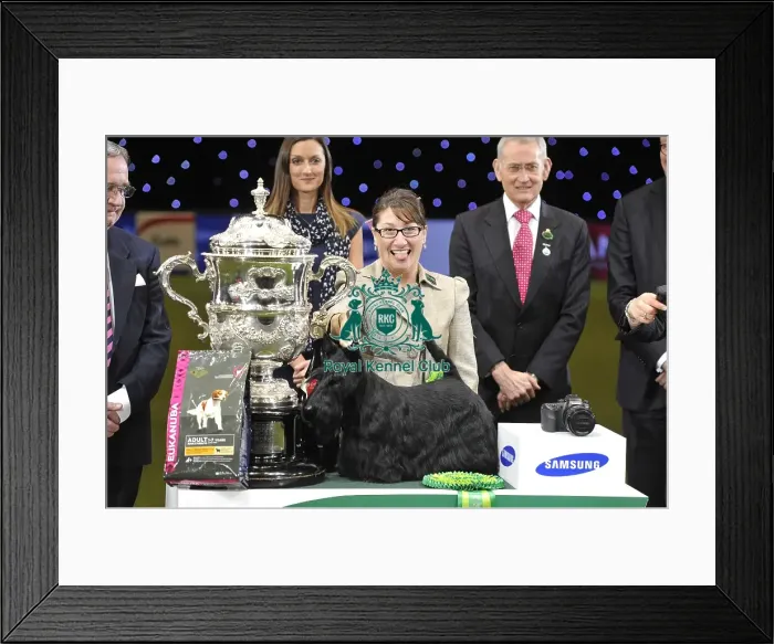 Framed Print : Crufts 2015 Framed Print : Crufts 2015