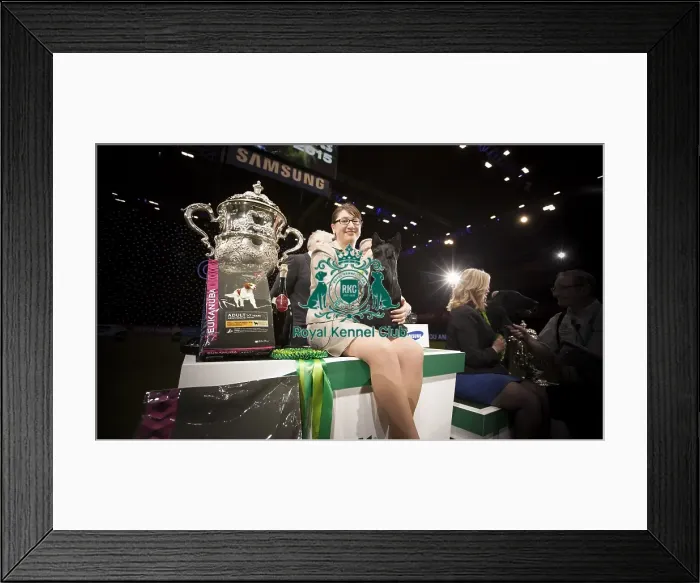 Framed Print : Crufts 2015 Framed Print : Crufts 2015
