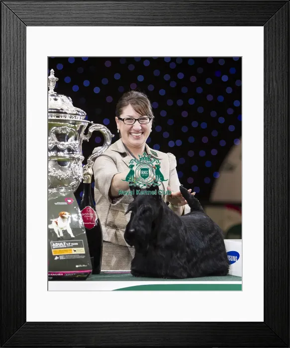 Framed Print : Crufts 2015 Framed Print : Crufts 2015