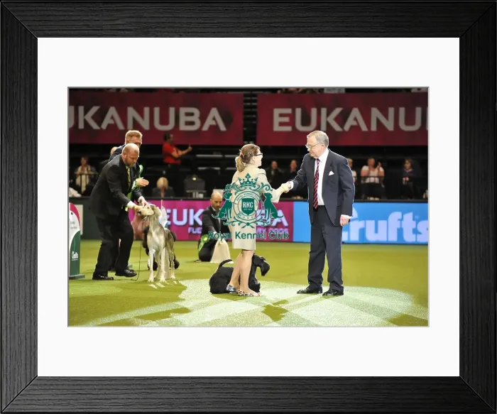 Framed Print : Crufts 2015 Framed Print : Crufts 2015