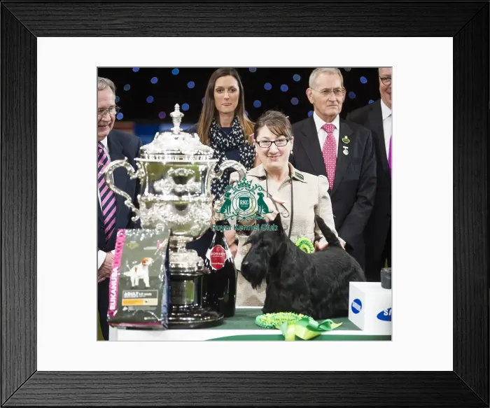 Framed Print : Crufts 2015 Framed Print : Crufts 2015