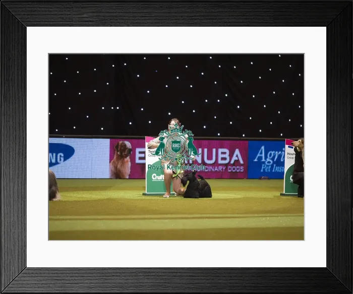 Framed Print : Crufts 2015 Framed Print : Crufts 2015