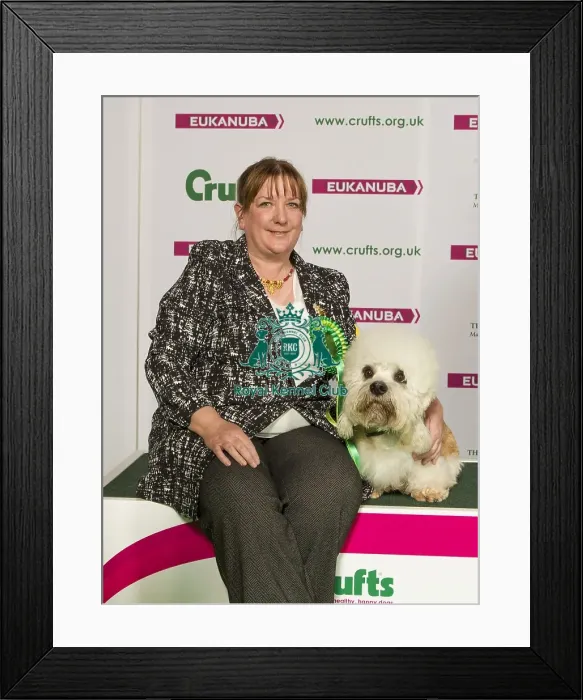 Framed Print : Crufts 2015 Framed Print : Crufts 2015