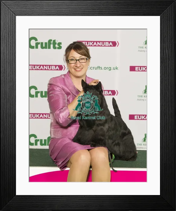 Framed Print : Crufts 2015 Framed Print : Crufts 2015