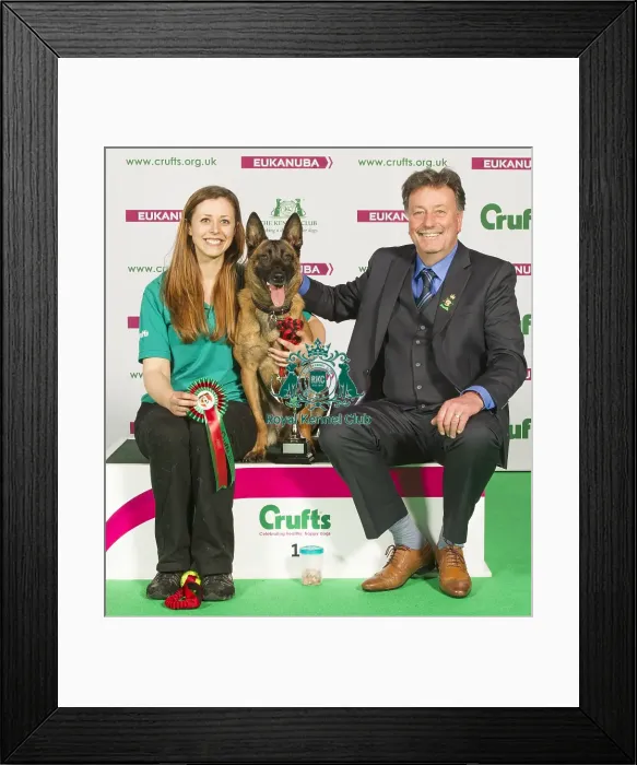 Framed Print : Crufts 2015