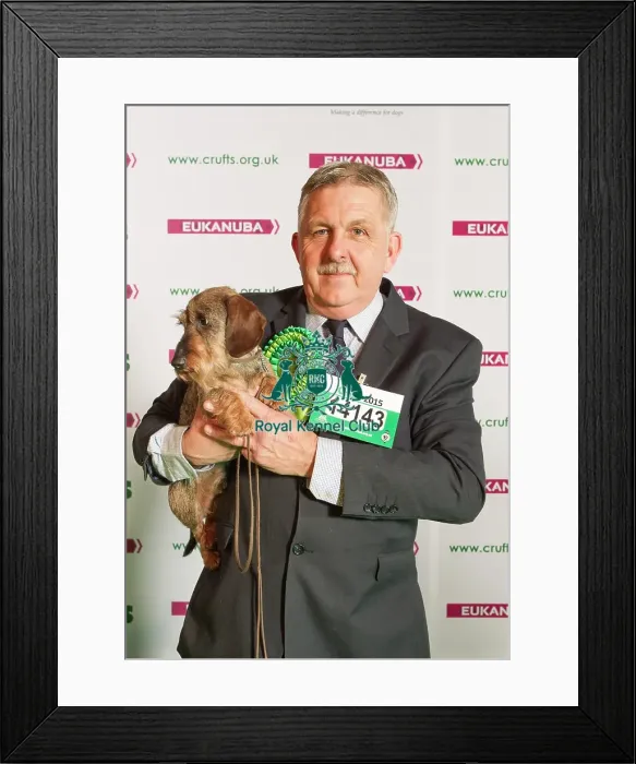 Framed Print : Crufts 2015 Framed Print : Crufts 2015