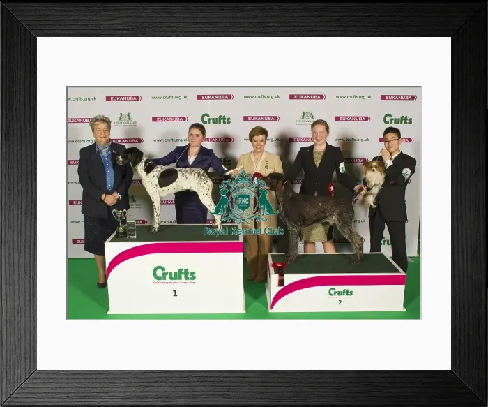 Framed Print : Crufts 2015 Framed Print : Crufts 2015
