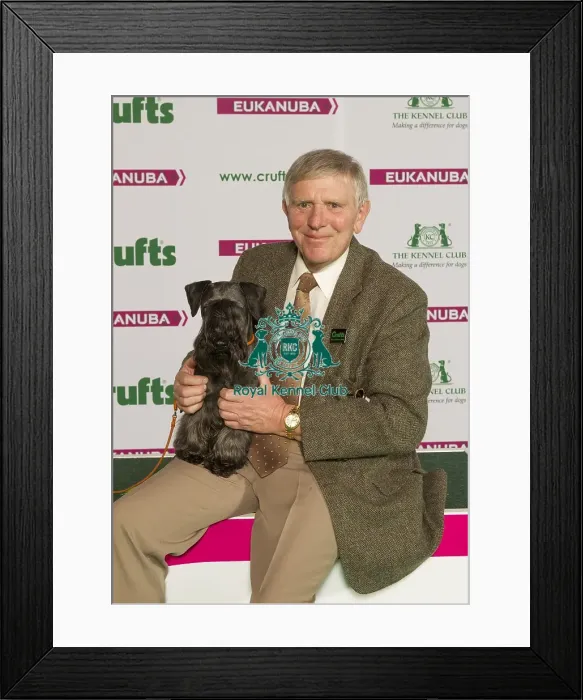 Framed Print : Crufts 2015 Framed Print : Crufts 2015