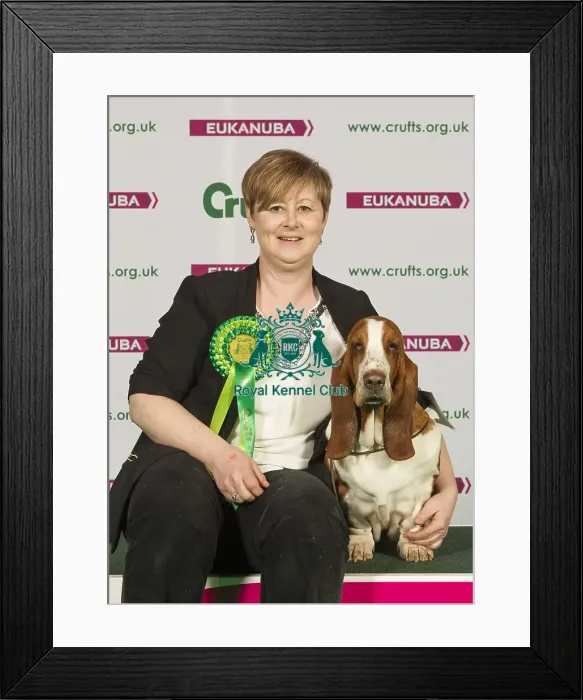 Framed Print : Crufts 2015 Framed Print : Crufts 2015