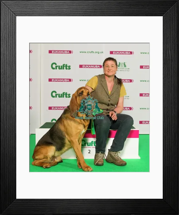 Framed Print : Crufts 2015 Framed Print : Crufts 2015