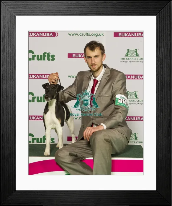 Framed Print : Crufts 2015 Framed Print : Crufts 2015