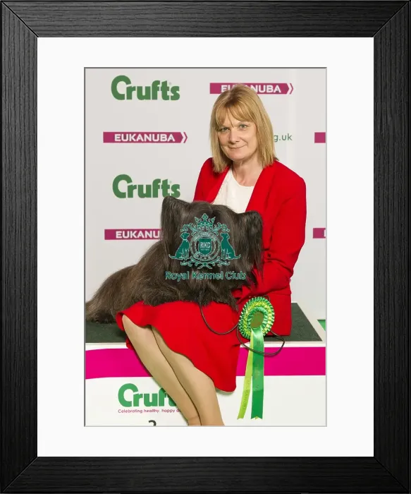 Framed Print : Crufts 2015 Framed Print : Crufts 2015