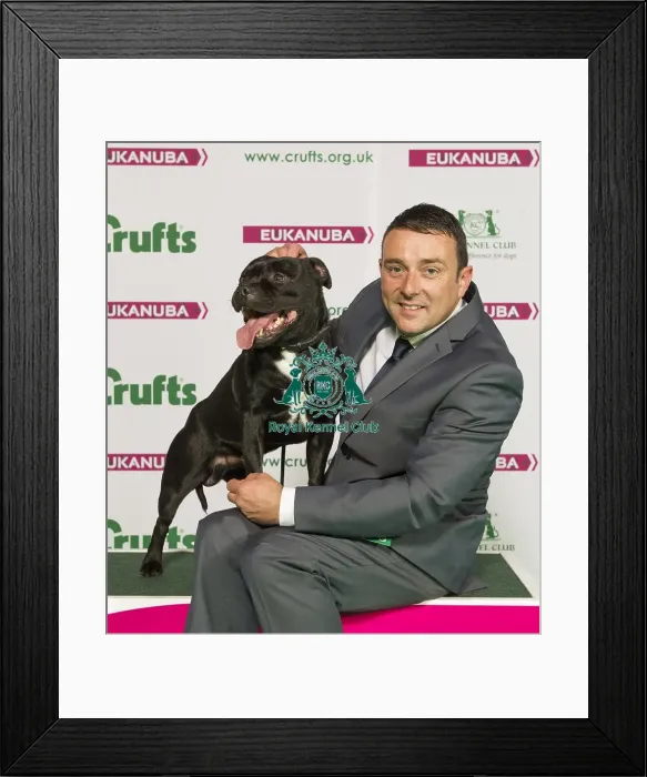 Framed Print : Crufts 2015 Framed Print : Crufts 2015