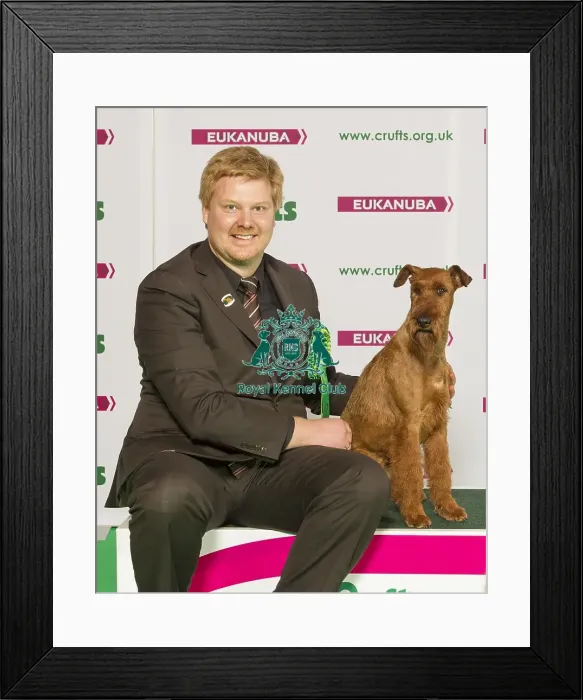 Framed Print : Crufts 2015 Framed Print : Crufts 2015