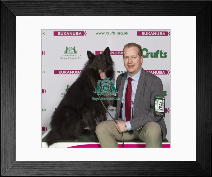 Framed Print : Crufts 2015 Framed Print : Crufts 2015