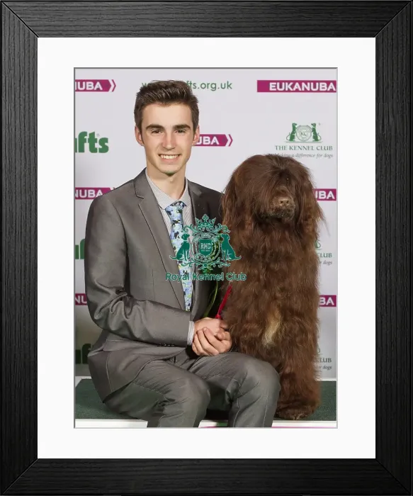 Framed Print : Crufts 2015 Framed Print : Crufts 2015