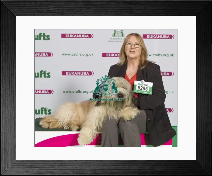 Framed Print : Crufts 2015 Framed Print : Crufts 2015