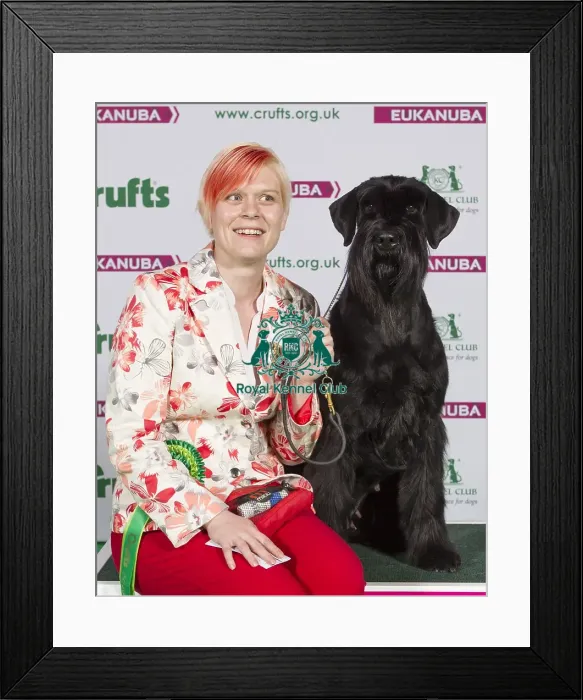 Framed Print : Crufts 2015 Framed Print : Crufts 2015