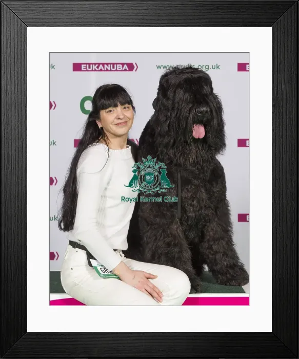 Framed Print : Crufts 2015 Framed Print : Crufts 2015