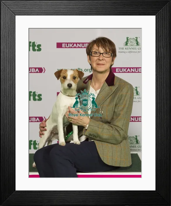 Framed Print : Crufts 2015 Framed Print : Crufts 2015