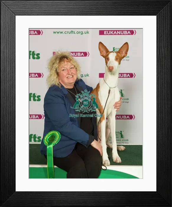 Framed Print : Crufts 2015 Framed Print : Crufts 2015