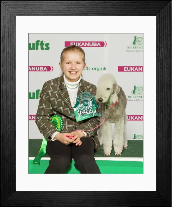 Framed Print : Crufts 2015 Framed Print : Crufts 2015