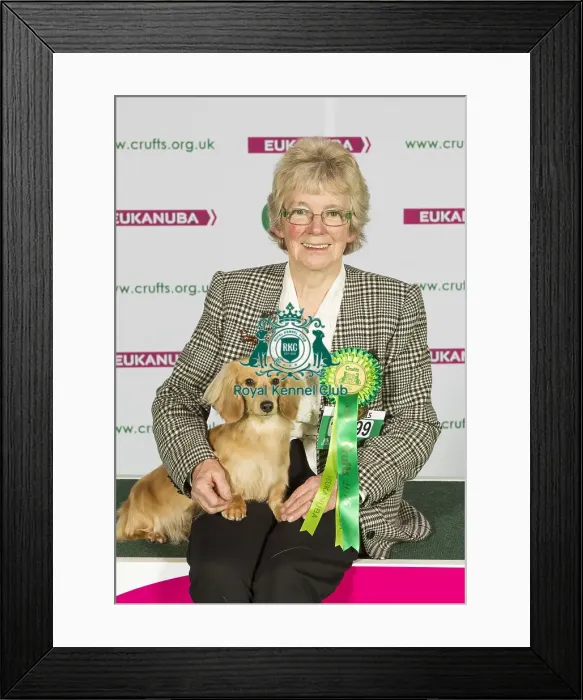 Framed Print : Crufts 2015 Framed Print : Crufts 2015