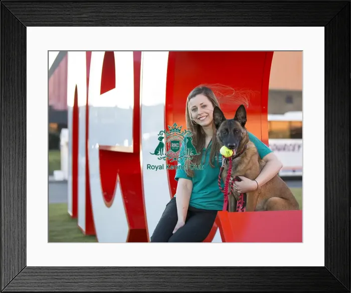 Framed Print : Crufts 2015