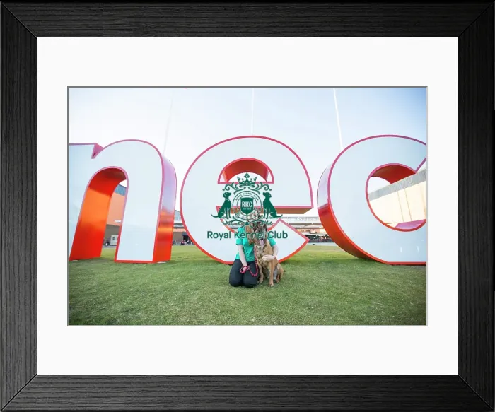 Framed Print : Crufts 2015 Framed Print : Crufts 2015