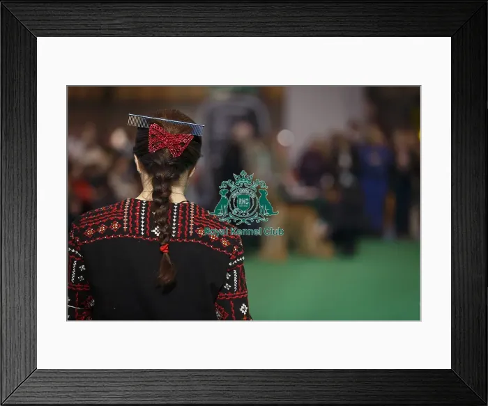Framed Print : Crufts 2015 Framed Print : Crufts 2015